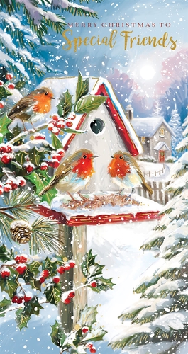 a christmas card that says merry christmas to special friends