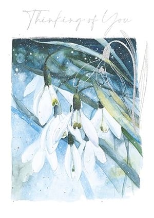 a thinking of you card with a watercolor painting of snowdrop flowers .