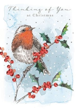 a robin is perched on a branch with holly and red berries .