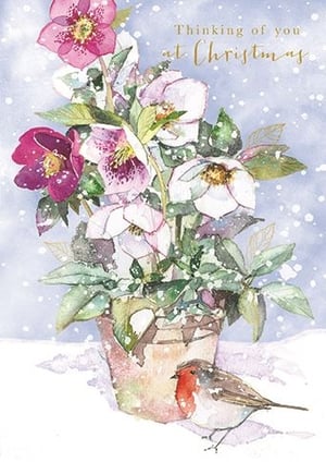 a christmas card with flowers in a pot and a bird .