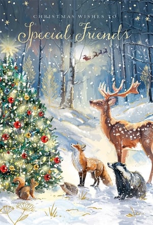 a christmas card that says christmas wishes to special friends