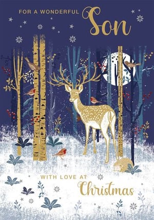 a christmas card for a wonderful son with love at christmas .