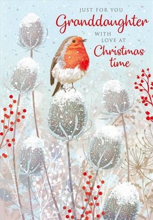 a robin is sitting on top of a snow covered plant on a christmas card .