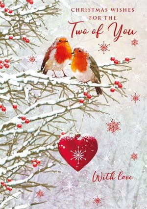 two robins are perched on a snowy branch with a heart hanging from it .
