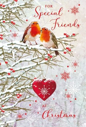 two robins are sitting on a branch of a christmas tree .