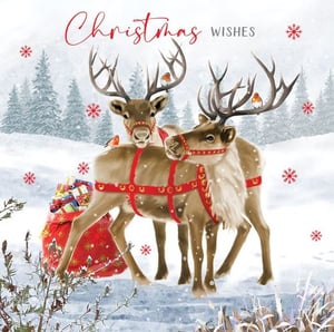 two reindeer are standing next to each other in the snow with a bag of presents .