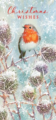 a robin is perched on a branch in the snow on a christmas card .