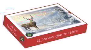 a robin is sitting on a branch in the snow on a christmas card .