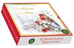 a box of 12 premium inserted christmas cards