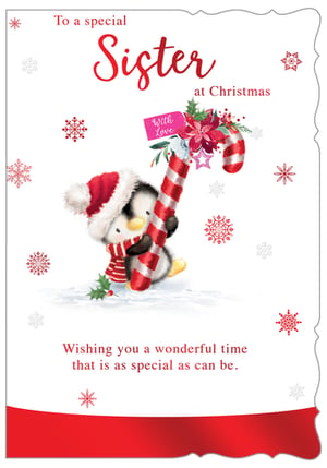 a christmas card for a special sister wishing you a wonderful time that is as special as can be