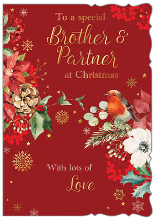 a christmas card for a special brother and partner