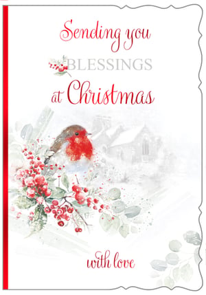 a december birthday card with snowdrops and a robin on a branch .