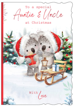 a christmas card that says to a special auntie and uncle at christmas with love