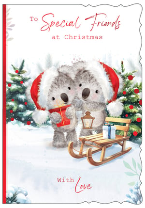 a christmas card that says to special friends at christmas with love