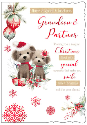 a christmas card for grandson and partner wishing you a magical christmas filled with special moments that make you smile