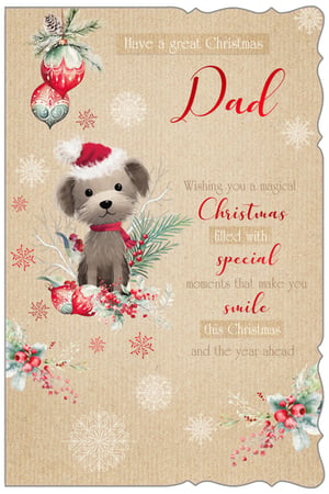 a christmas card for a dad wishing you a magical christmas filled with special moments that make you smile this christmas