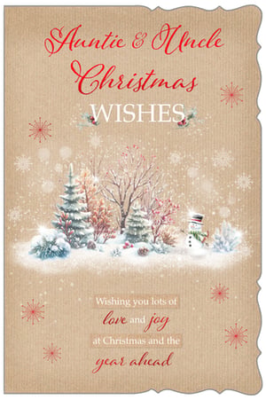 a christmas card for auntie and uncle wishing you lots of love and joy at christmas and the year ahead