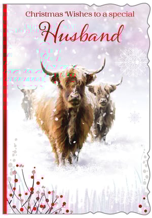 a christmas wishes card for a special husband