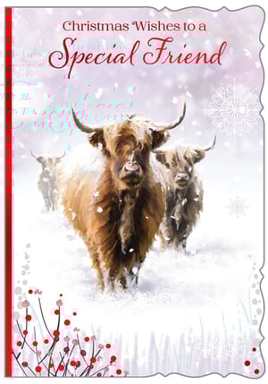 a necklace in a box that says furry companions collection