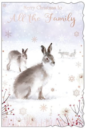a christmas card that says merry christmas to all the family