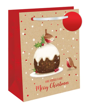 a christmas gift bag that says have yourself a very merry christmas
