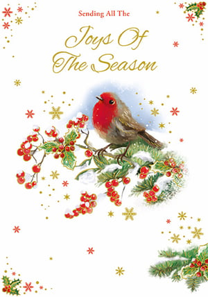 a christmas card that says sending all the joys of the season