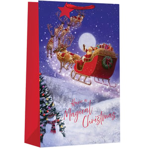 a christmas bag that says have a magical christmas