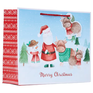 a gift bag that says merry christmas on it