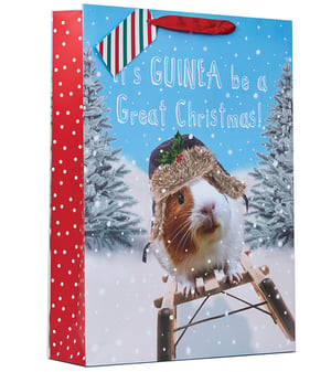 a gift bag that says it 's guinea be a great christmas
