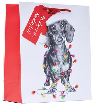 a gift bag with a picture of a dachshund and a tag that says naughty list