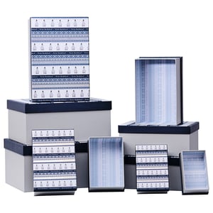 there are many different types of houses in this illustration .