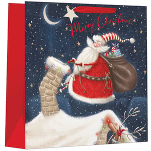a bag that says merry christmas on it