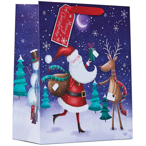 a christmas bag with santa claus and reindeer on it