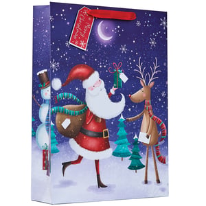 a christmas gift bag with a tag that says merry christmas