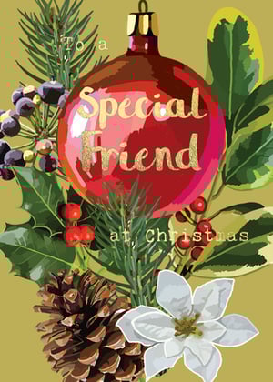 a christmas card that says to a special friend at christmas
