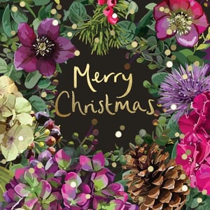 a merry christmas card with flowers and pine cones