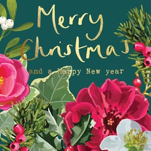 a robin is sitting on a branch in the snow on a christmas card .