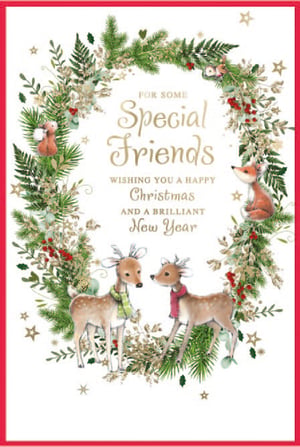 a christmas card for special friends wishing you a happy christmas and a brilliant new year