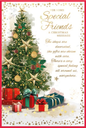 a christmas card that says for some special friends