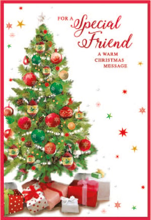 a christmas card that says for a special friend