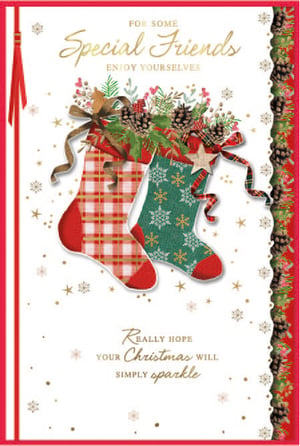 a christmas card that says for some special friends enjoy yourselves