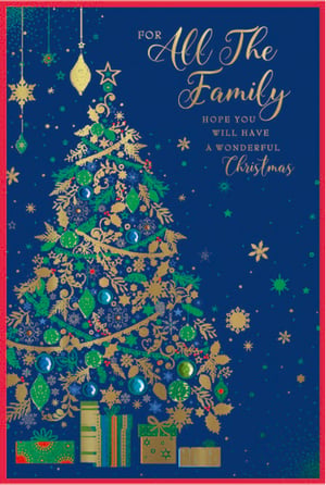 a christmas card that says for all the family hope you will have a wonderful christmas