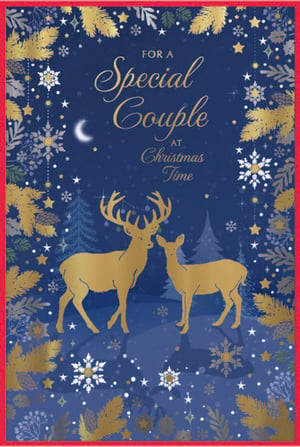 a christmas card that says for a special couple at christmas time