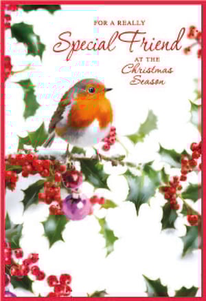 a christmas card for a really special friend at the christmas season