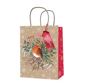 a christmas gift bag with a tag that says merry christmas
