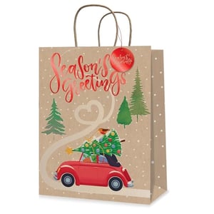 a christmas gift bag that says season 's greetings