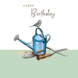 Doodlecards Partner Male Birthday Card Balloons And Shoes Large A4 Size