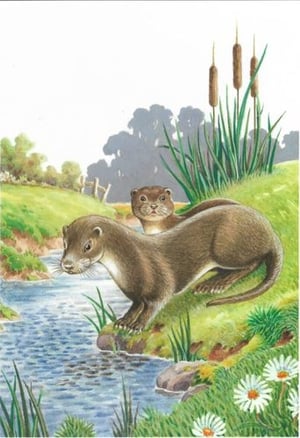 a couple of otters are standing next to a river .