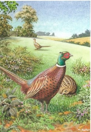 a painting of two pheasants standing next to each other in a field .