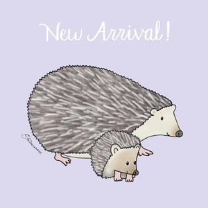 a drawing of two hedgehogs says new arrival
